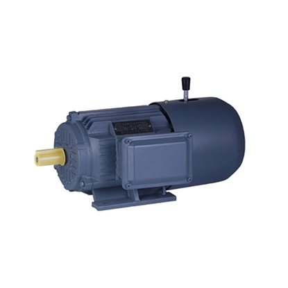 1 hp (0.75kW) Brake Motor, 3 Phase, 2/4 Pole