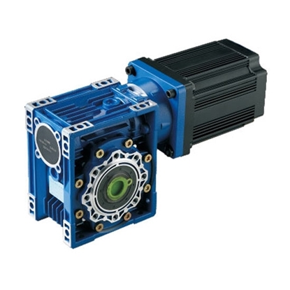 300 W DC Worm Gear Motor, 12V/24V/48V