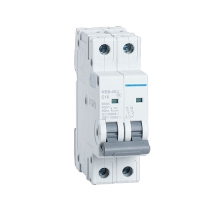 16 amp 2 pole Miniature Circuit Breaker