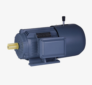 Brake motor